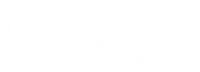 Artoyz